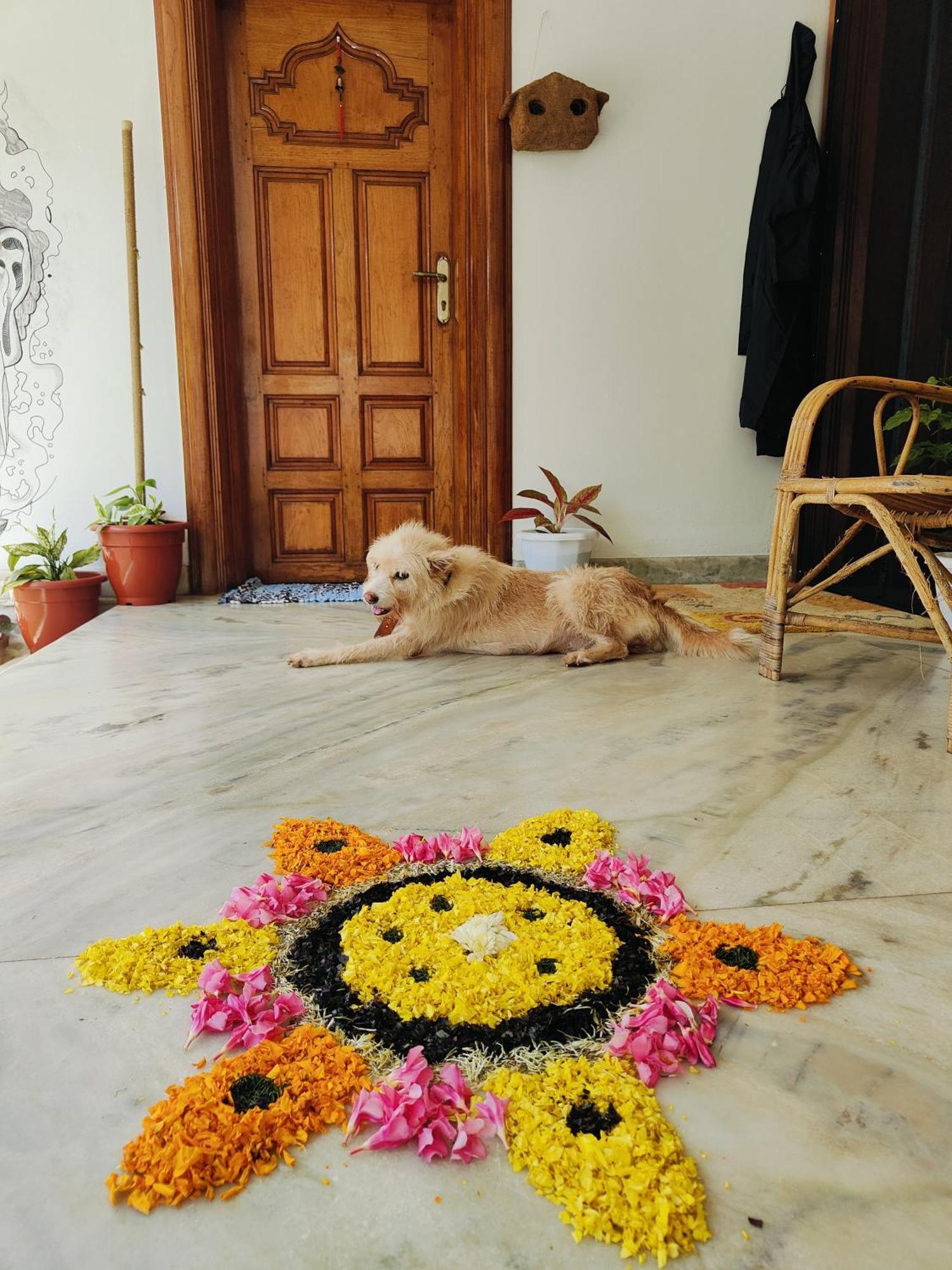 Shamak Homestay วาร์คาลา ภายนอก รูปภาพ