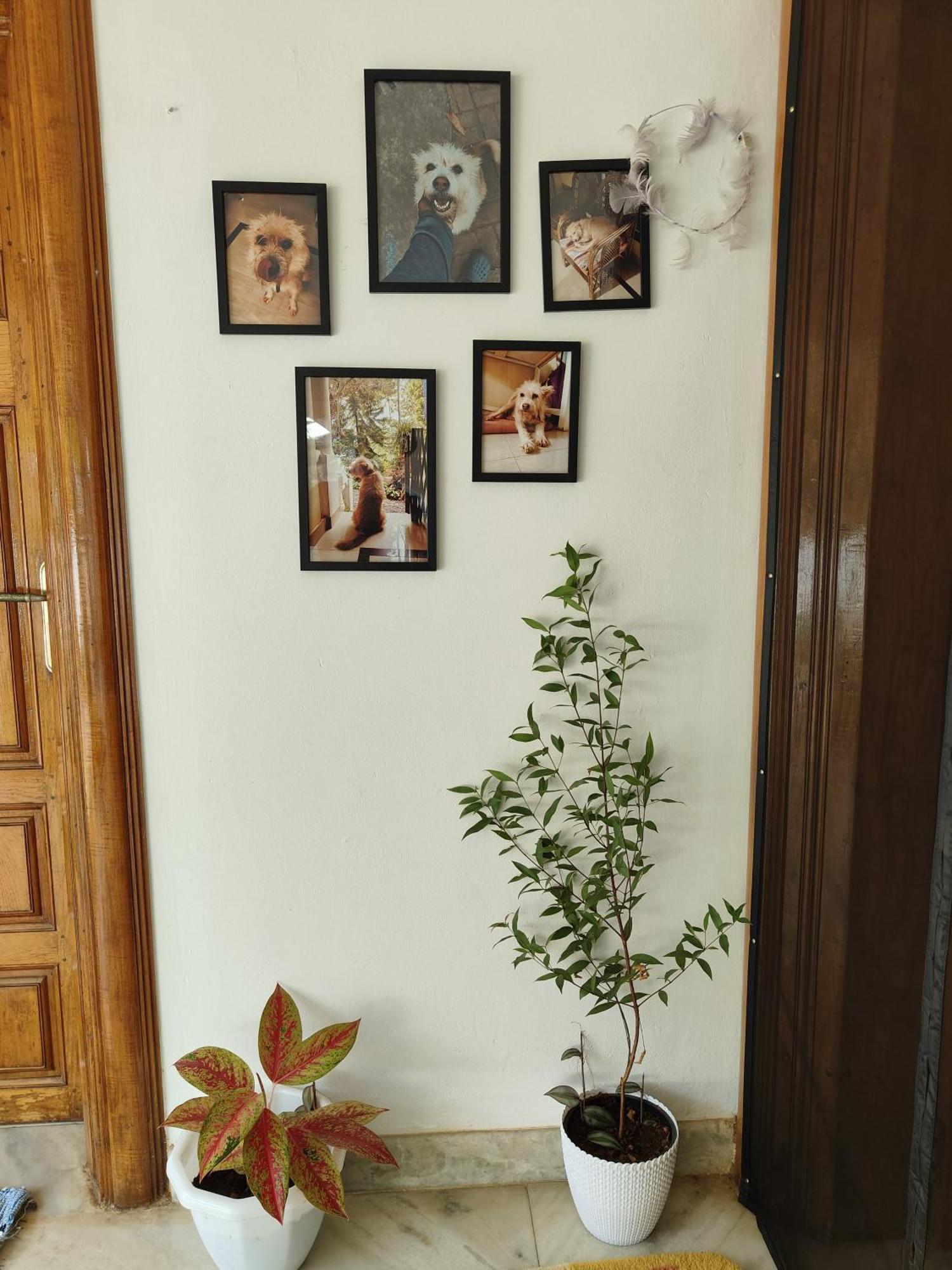 Shamak Homestay วาร์คาลา ภายนอก รูปภาพ